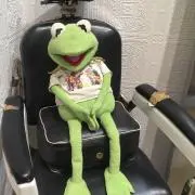 るるの画像
