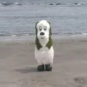 はとむぎの画像