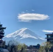 ソラの画像