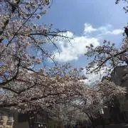 ワールドの画像