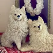 きいの画像