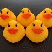 めい