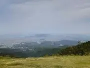 よしお