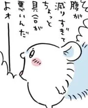 きらの画像