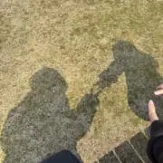 まりなの画像