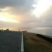 TSの画像