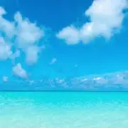 ピノノワール