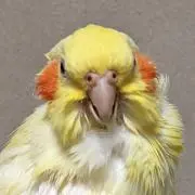 紡実