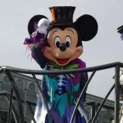 ぷにの画像