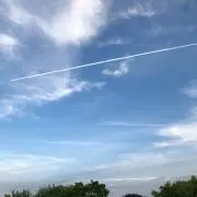 くろろの画像
