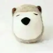 ☆るみ☆の画像