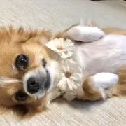 ゆなの画像