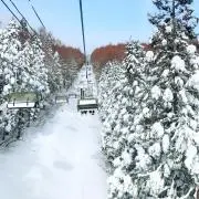 雪