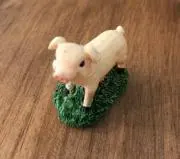hasehaseの画像