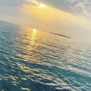 ドラの画像