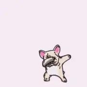 りの画像