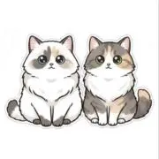 みーの画像