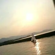 ゆう