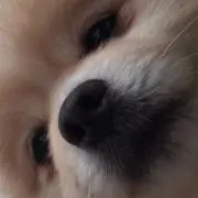popa♪