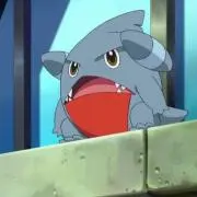 もっちの画像