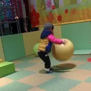 ハコマメシバの画像