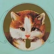 keiaの画像