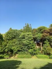 風