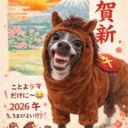 NOK0803