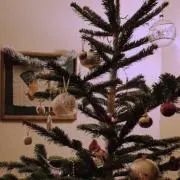 ねこの画像