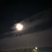 カオルくんの画像