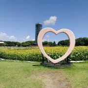べべ（即購入◎）の画像