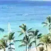 千波の画像
