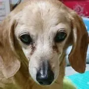 FAIRY TAILの画像