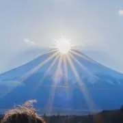 クロの画像