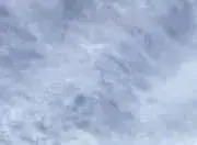小梅の画像
