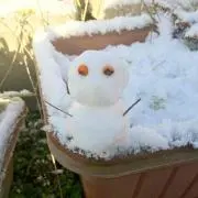 だるまの画像