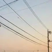 うめすけの画像