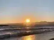 Dudeの画像