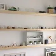 きょんの画像
