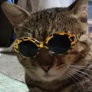 トラキチの画像