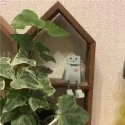 ゆきの画像