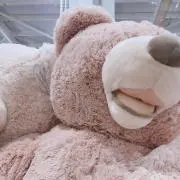 電気うなぎ(*´꒳`*)の画像