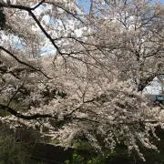htc j butterflyの画像