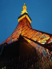 kakuraの画像