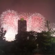 ぶどう大好き