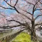 Tenの画像