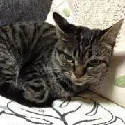 みん4126