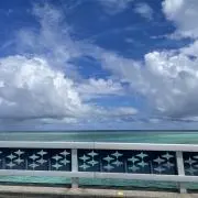 mの画像