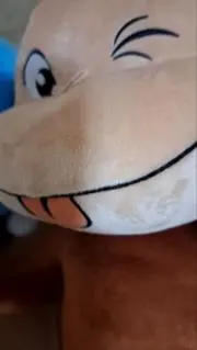 ありの画像