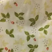 kt.の画像